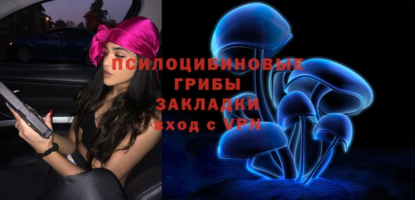 бошки Инта