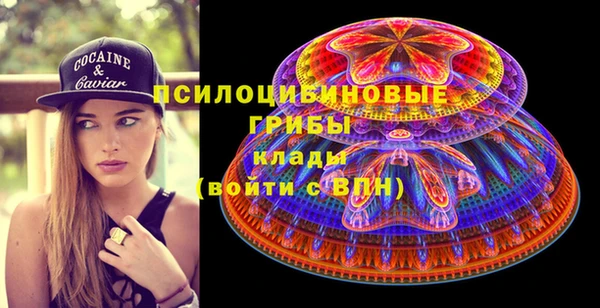 гашик Каменск-Шахтинский
