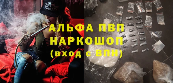 бошки Инта